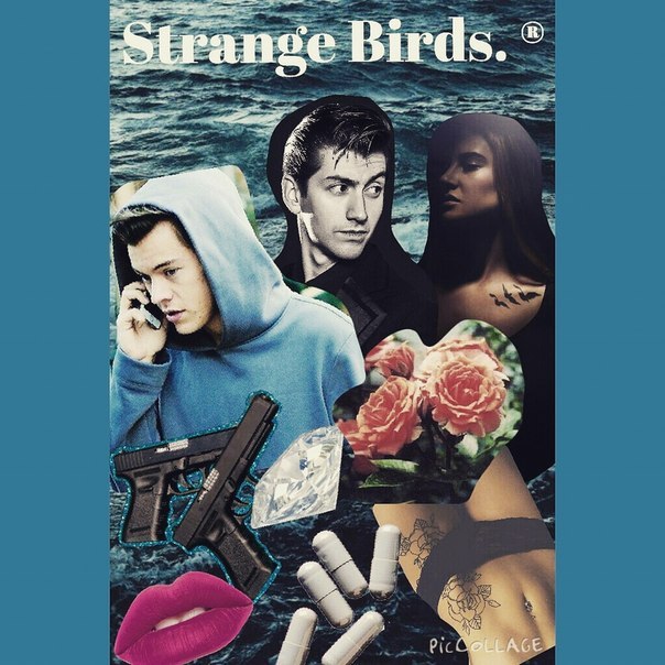 Birdy strange birds. Strange Birds минус. Strange Birds текст.